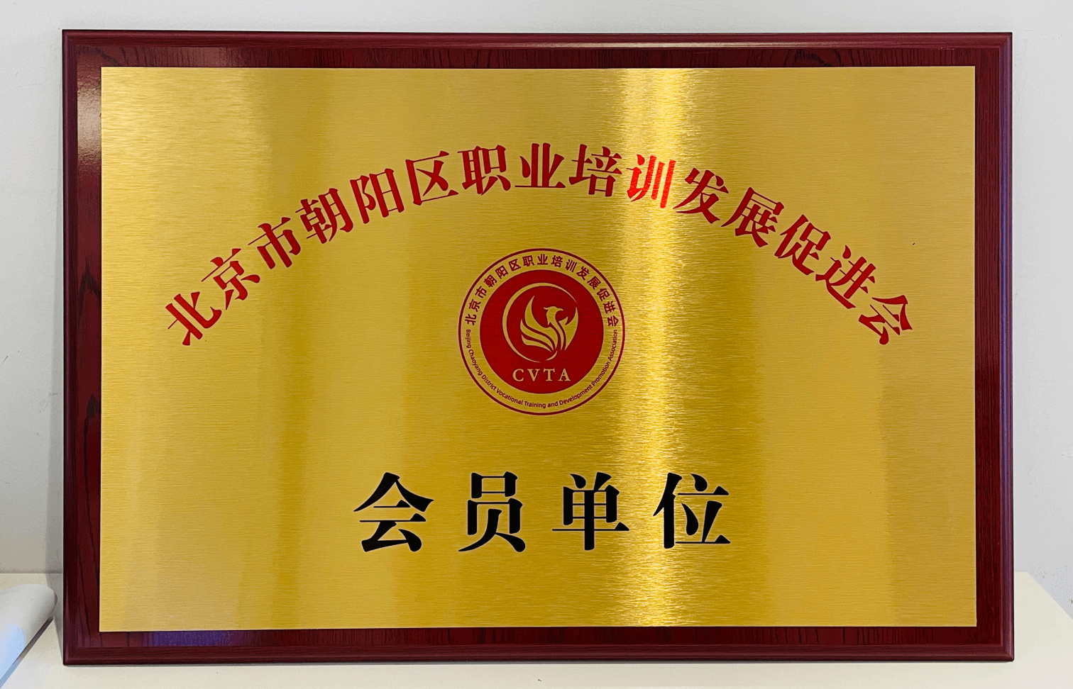 量子之歌